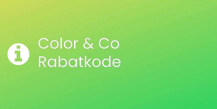 Color & Co Header