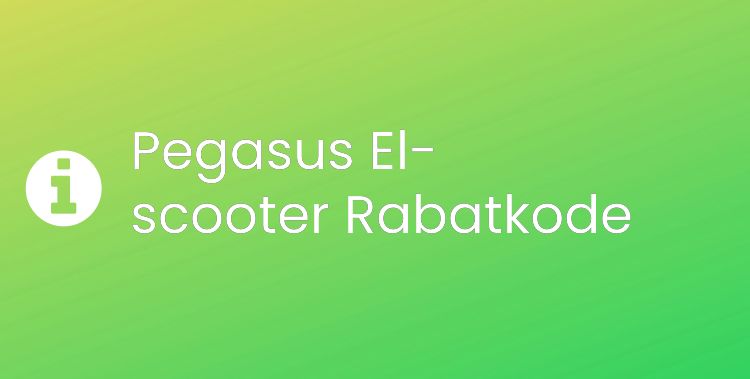 Pegasus El-scooter Header