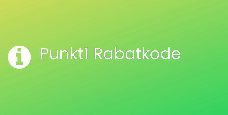Punkt1 Header